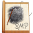 File BMP Icon 24px png